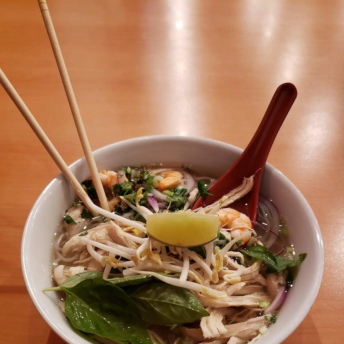 Chicken Noodle Soup