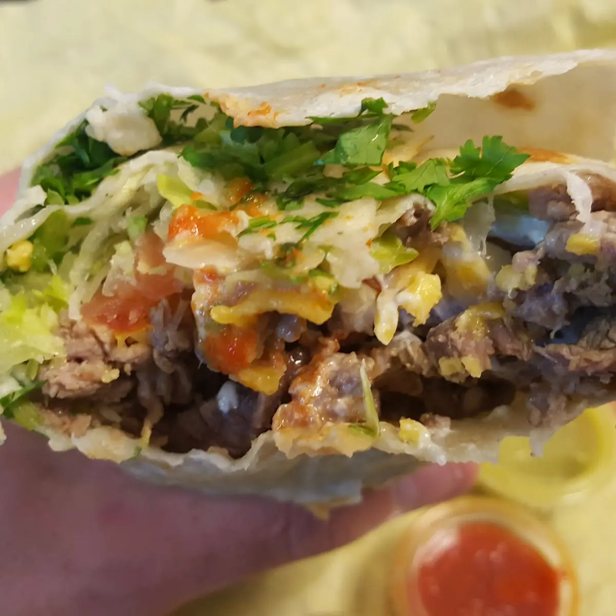 Carne Asada Burrito