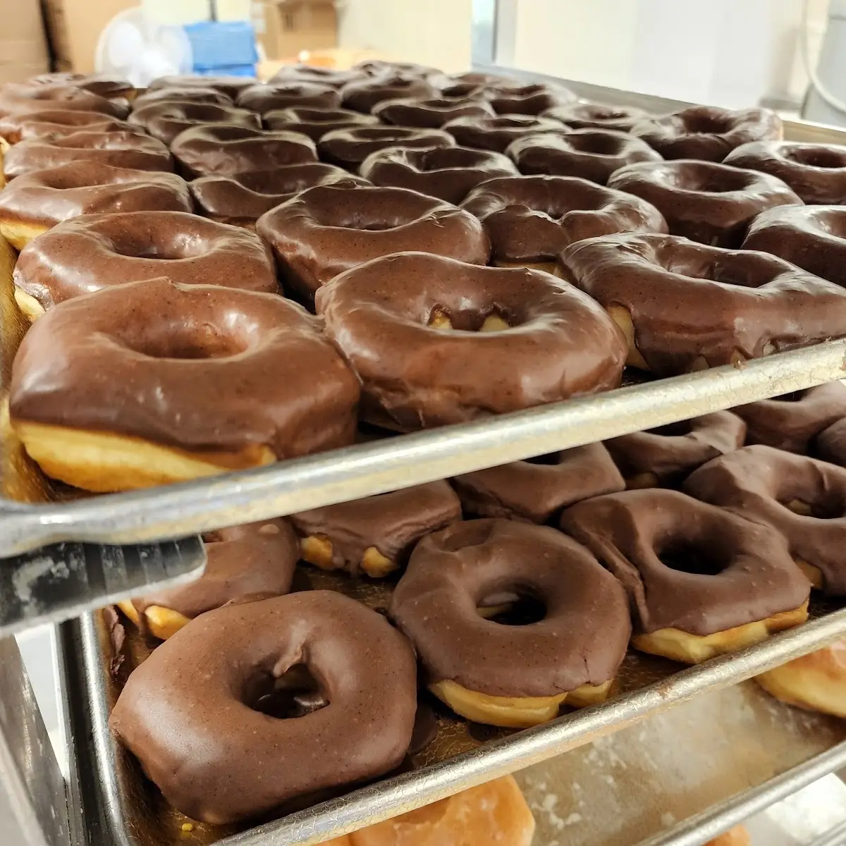 Chocolate Glazed Donuts