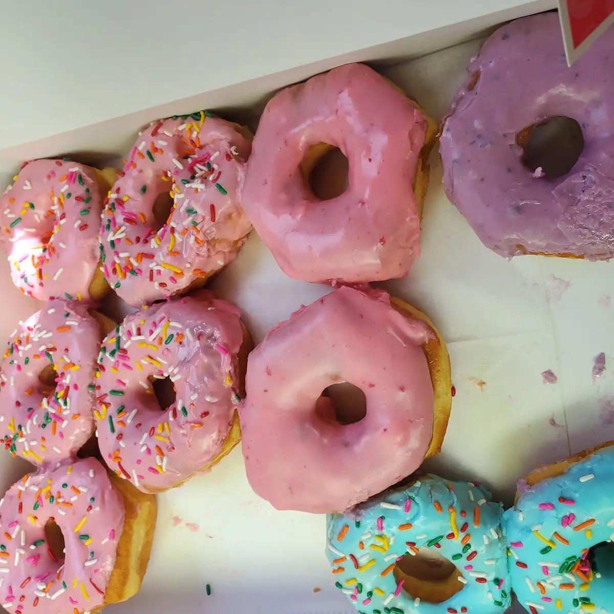Doughnut