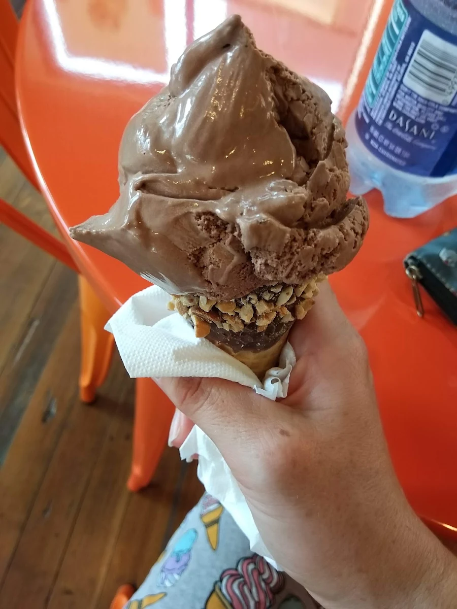 Chocolate Ice Cream with a Peanut Dipped Cone