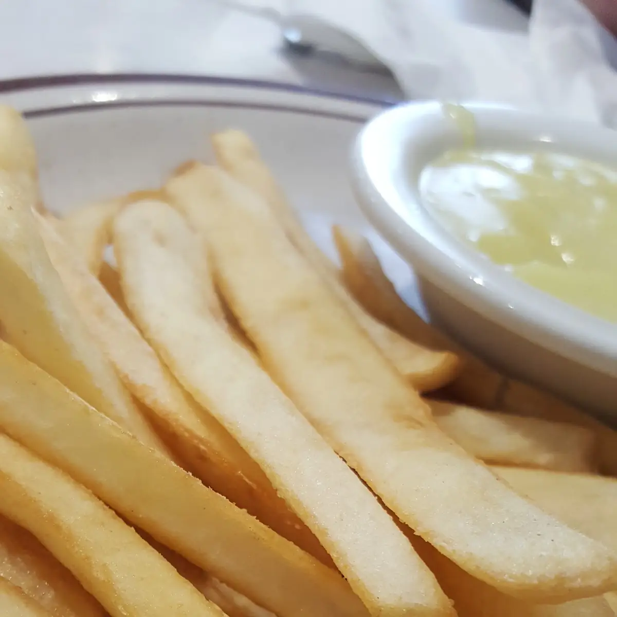 Fries with Chicken Gravy