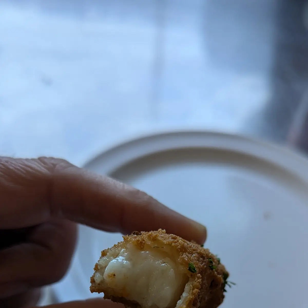 Mozzarella Sticks