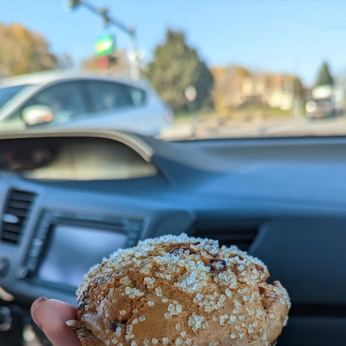 Blueberry Muffin