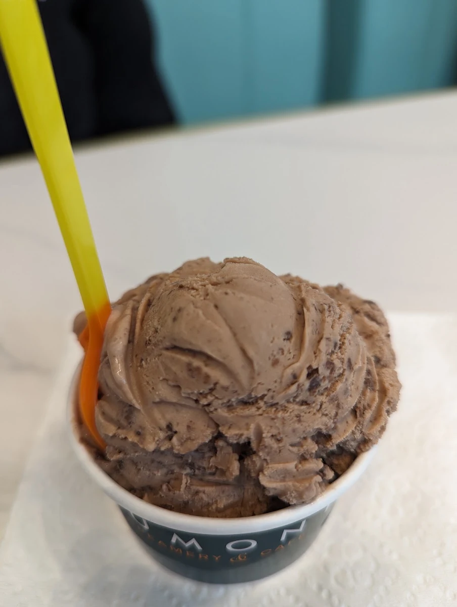 Chocolate Ice Cream