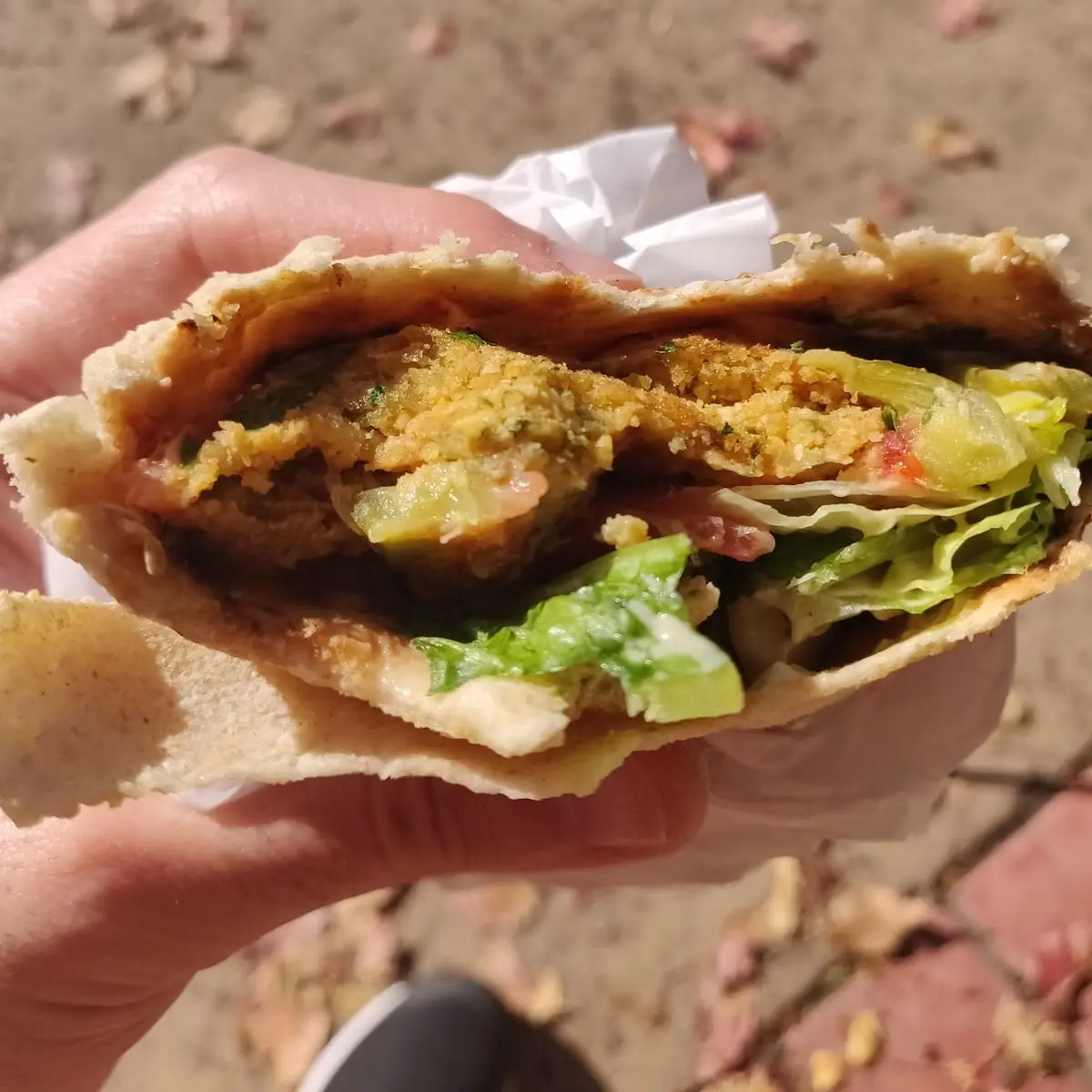 Falafel Sandwich