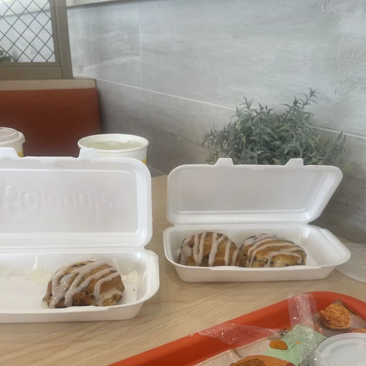 Cinnamon Roll