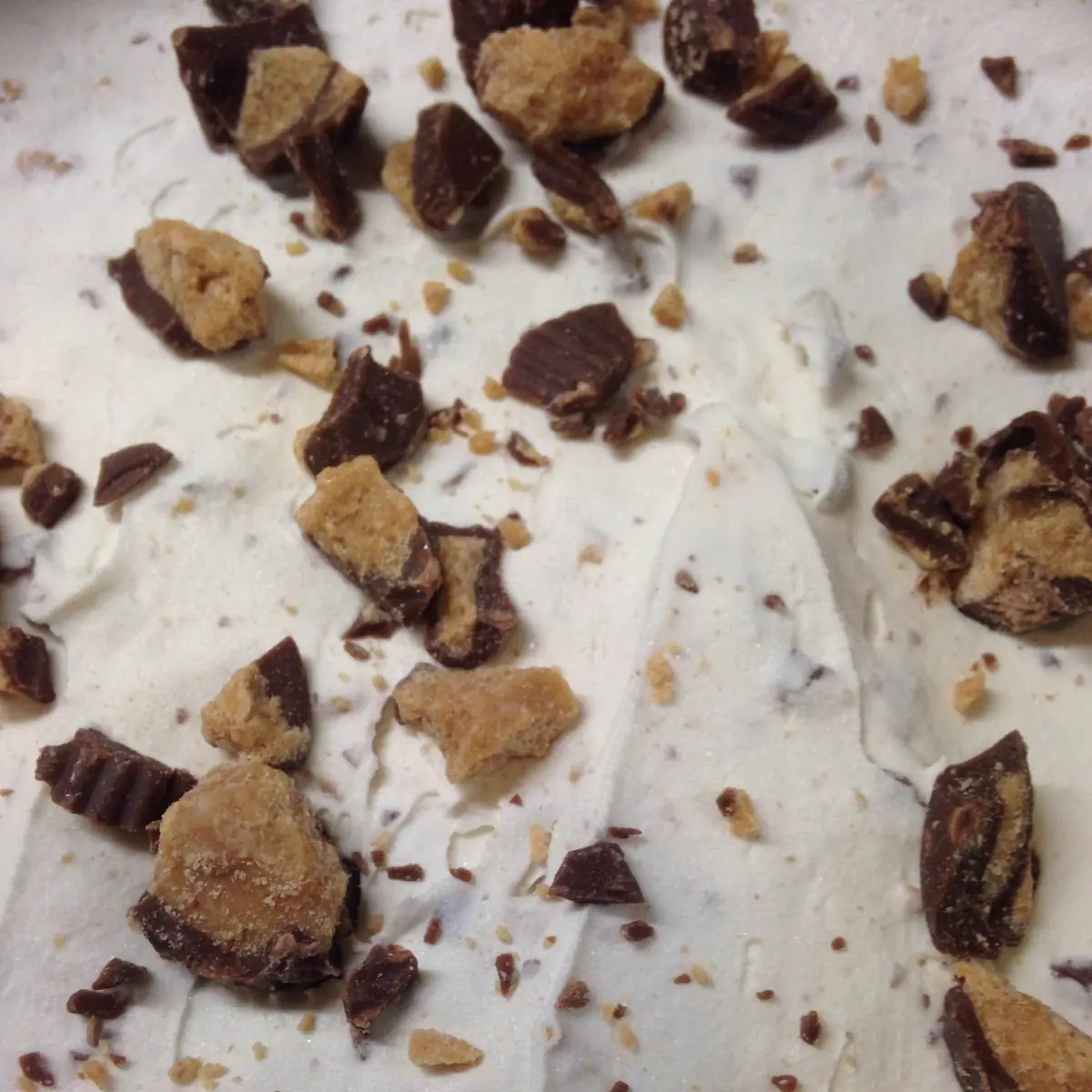 Coconut Almond Chip