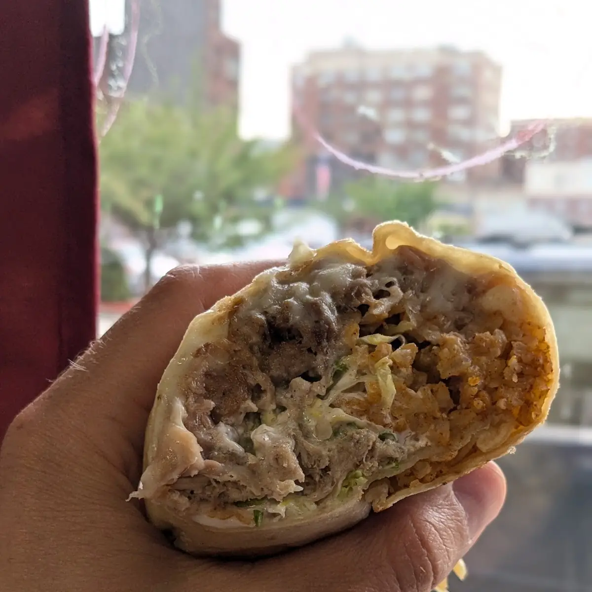 Carnitas Burrito