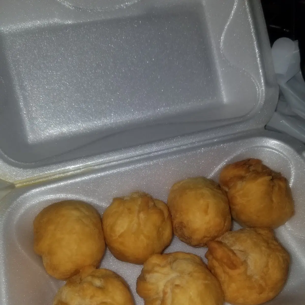 Fried Dumplings