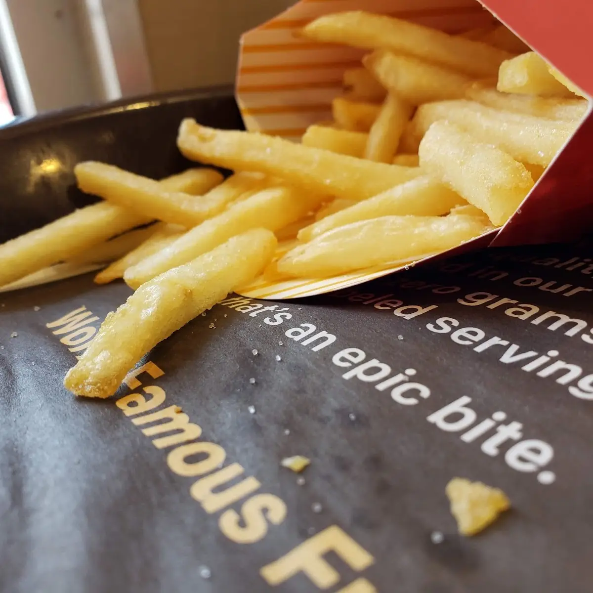 World Famous Fries