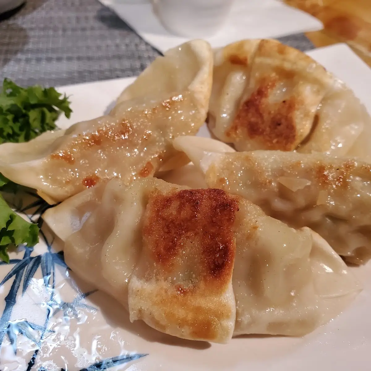 Gyoza