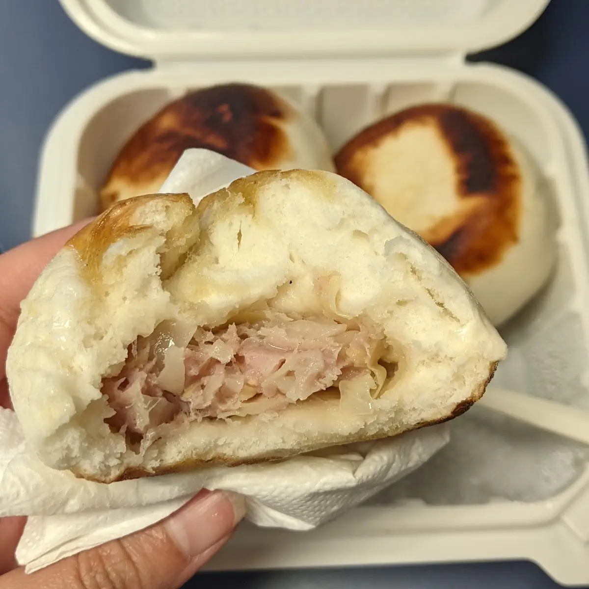 Pan Fried Pork Dumplings