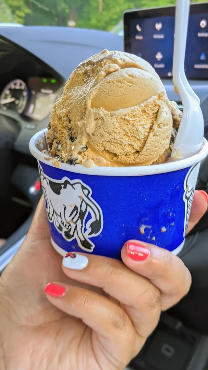 Coffee Oreo Cookie