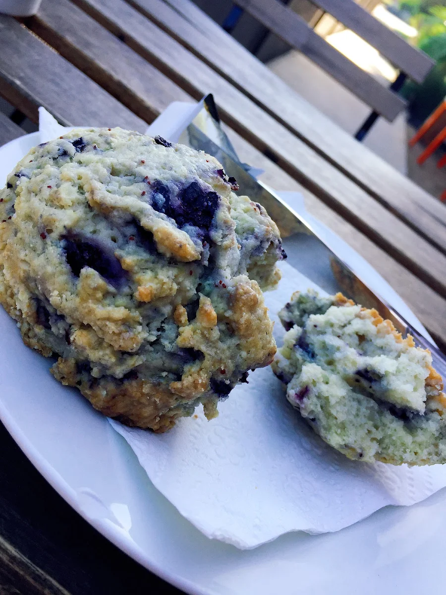 Blueberry Scone