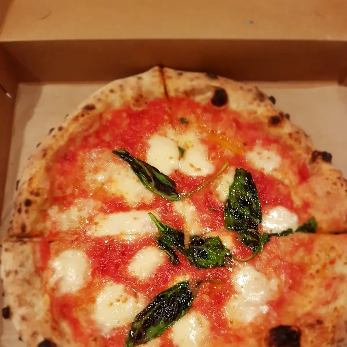 Margherita Pizza