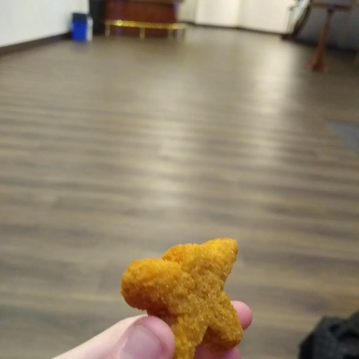 Fried Shrimp