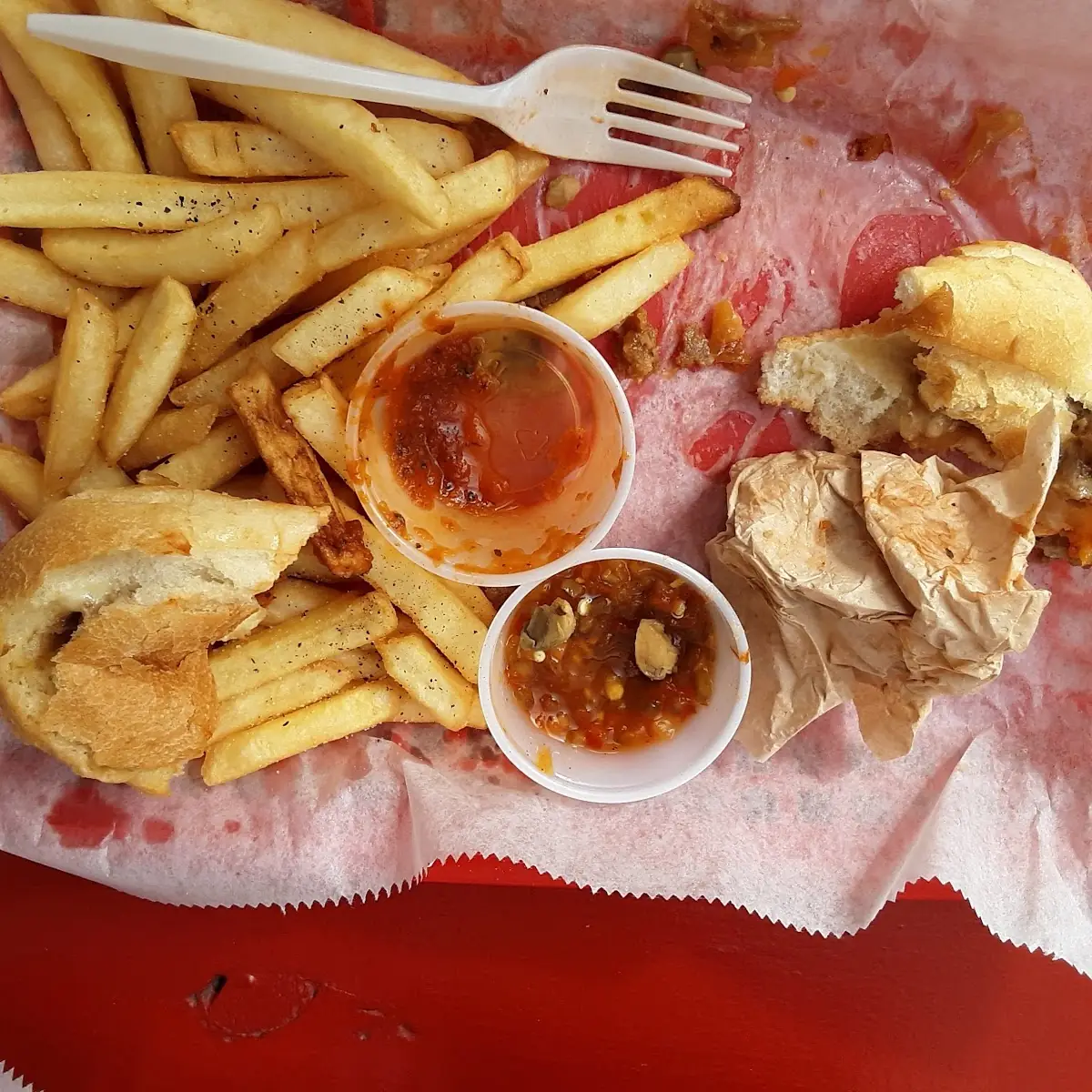 Cheese Steak with Fries