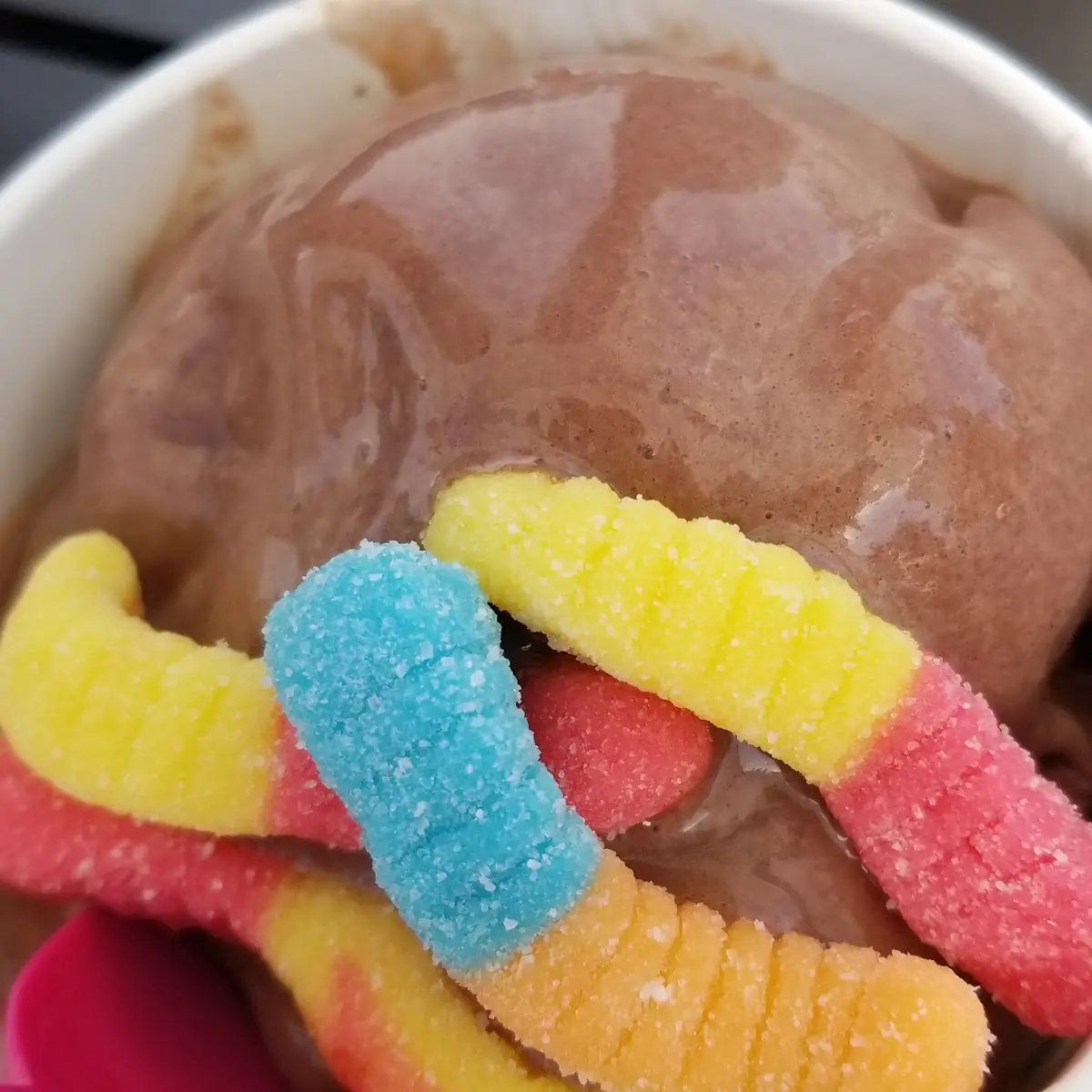Chocolate Frozen Yogurt with Gummie Worms