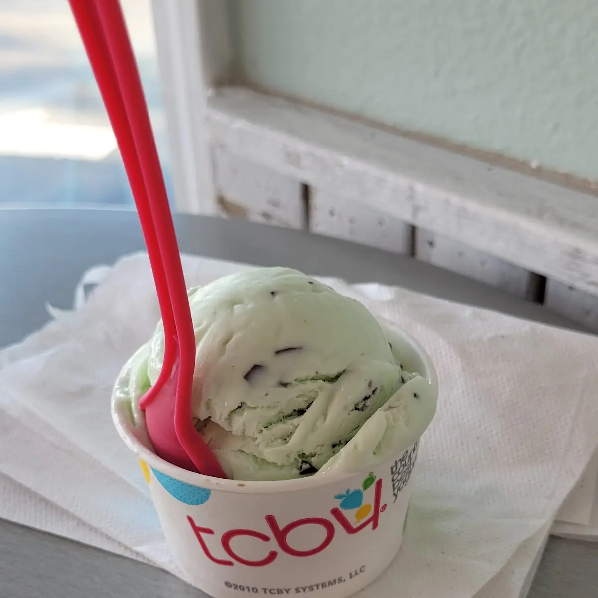Mint Chocolate Chip