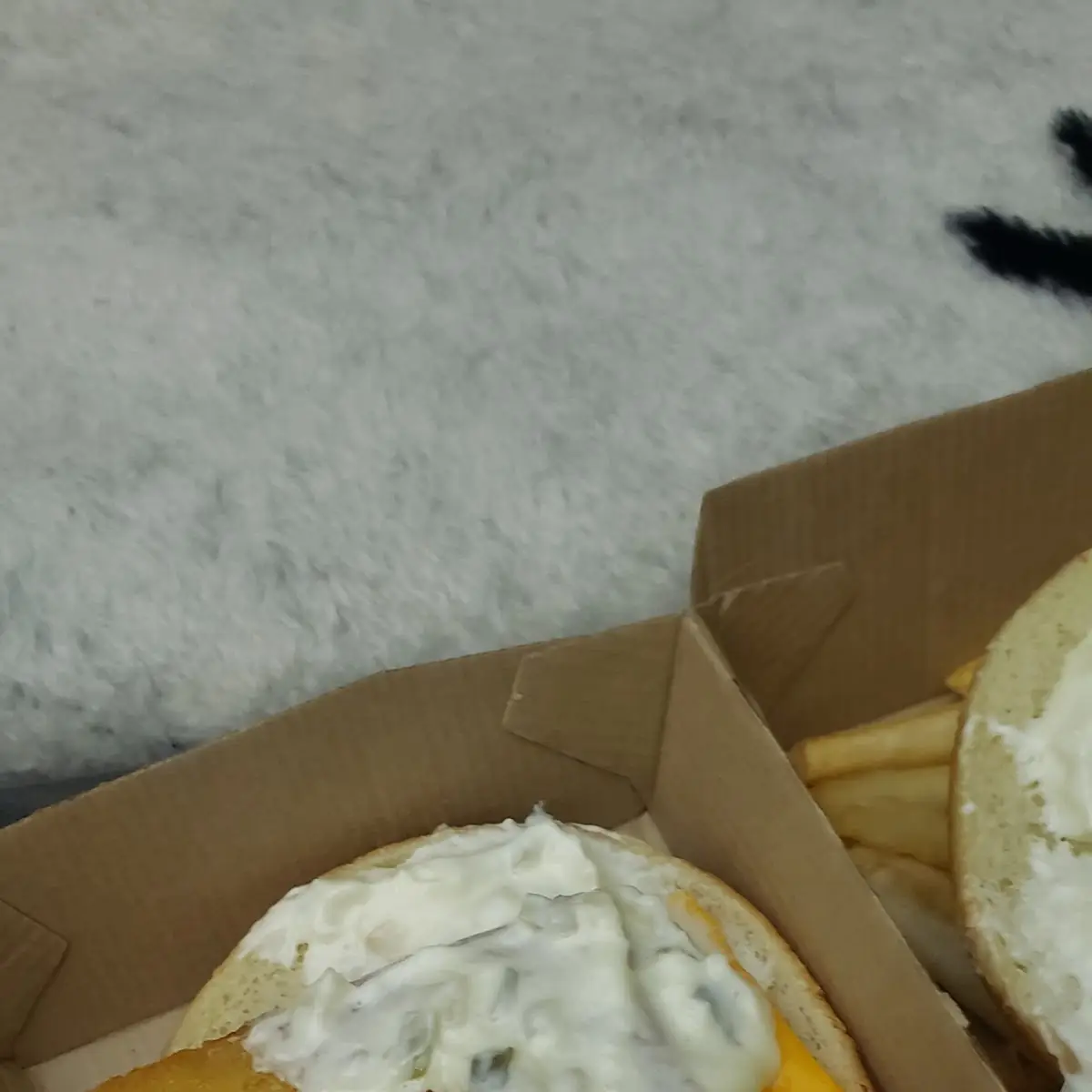 Fish Filet