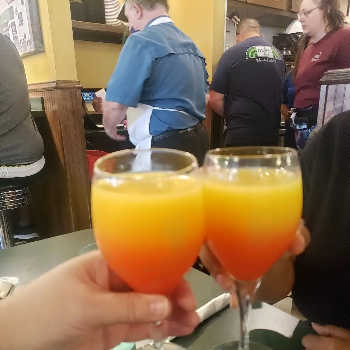 Sunrise Mimosa