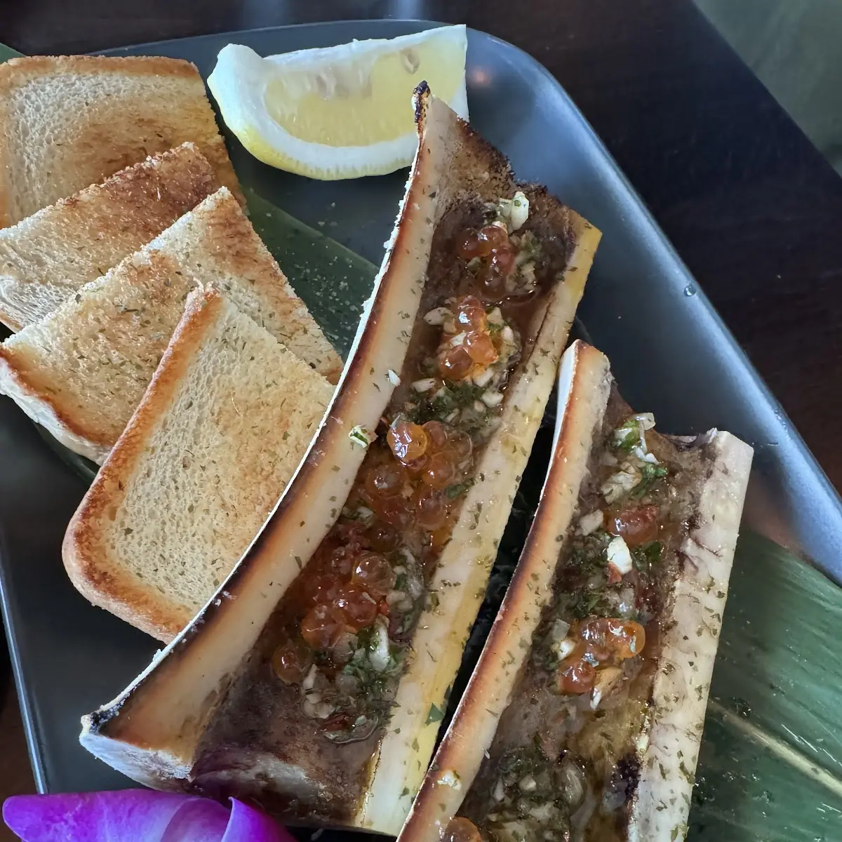 Bone Marrow