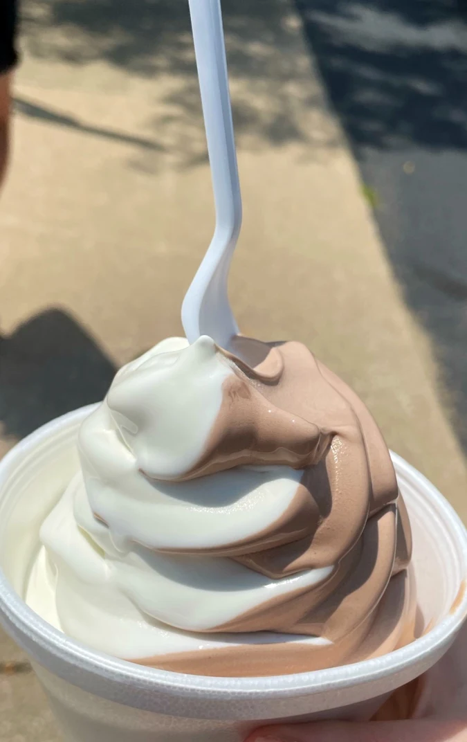 Frozen Yogurt