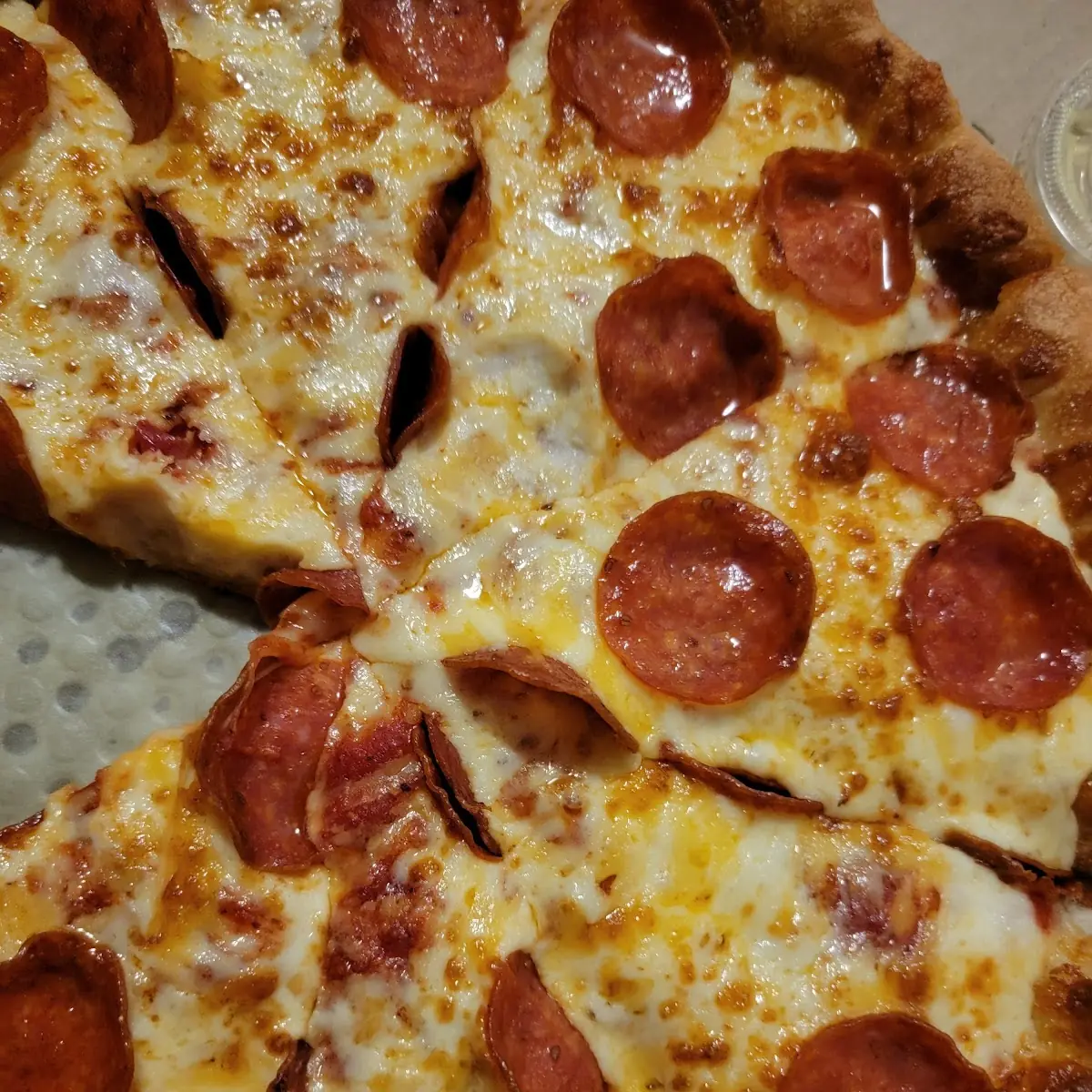 Pepperoni Pizza Calzone