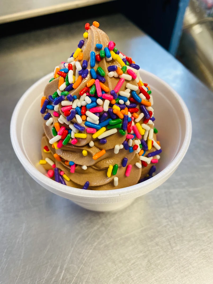 Large Dipped Waffle Cone