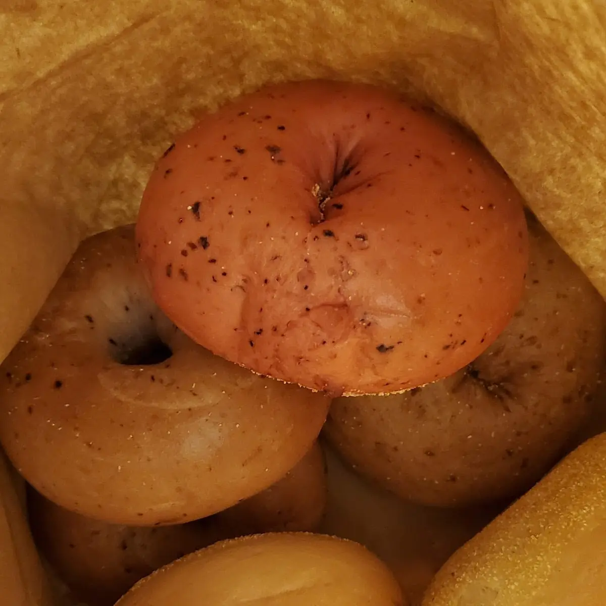 Assorted Bagels