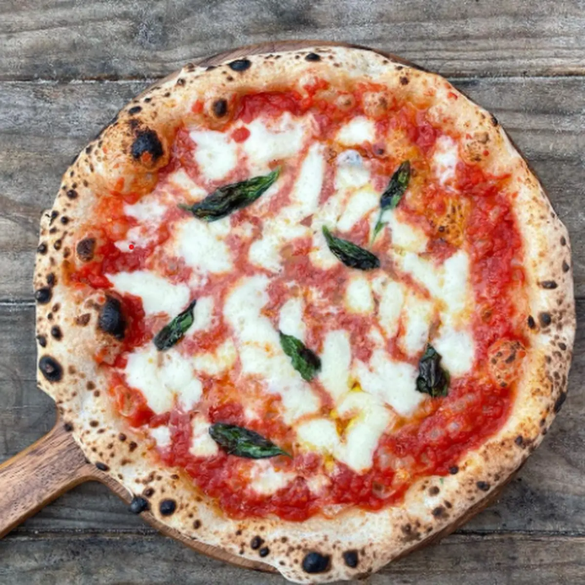 Pizza Margherita