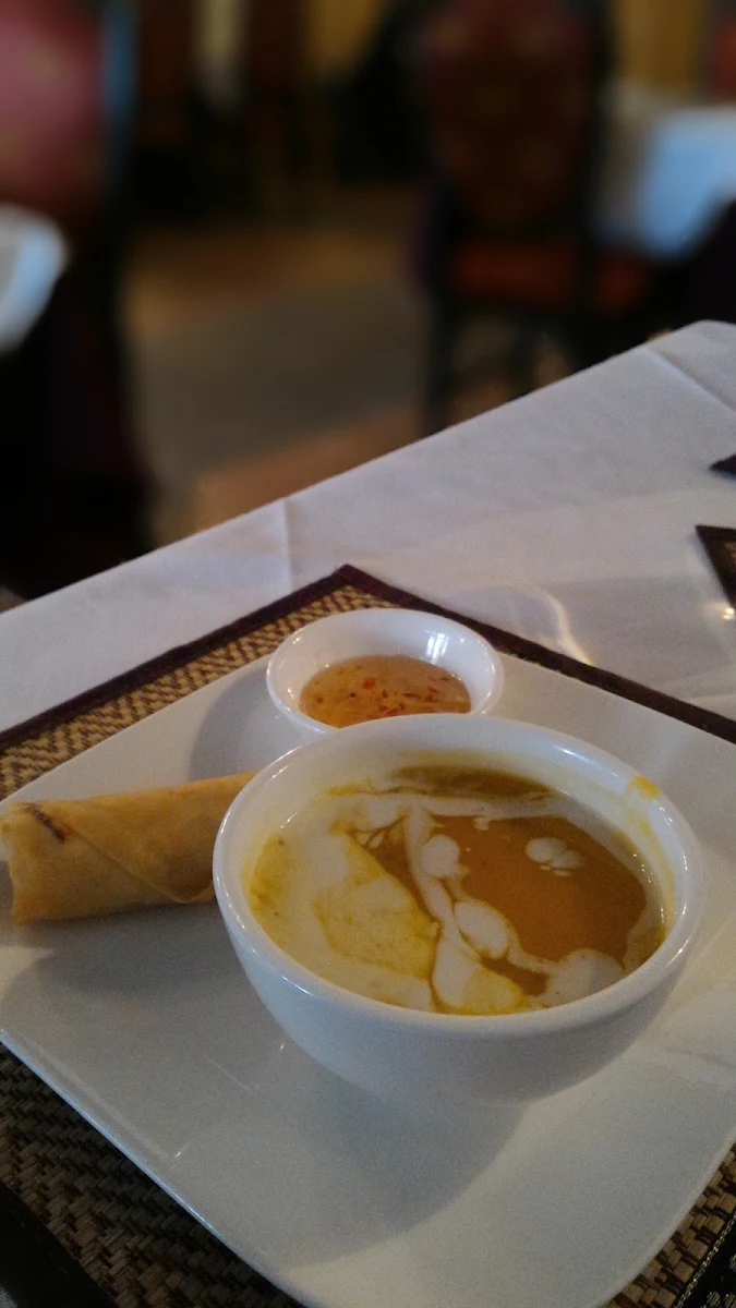 Hot and Sour Soup and Spring Roll
