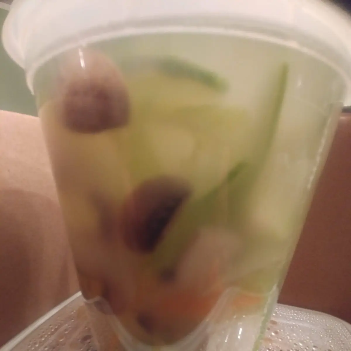 Vegetable Spring Roll (2)