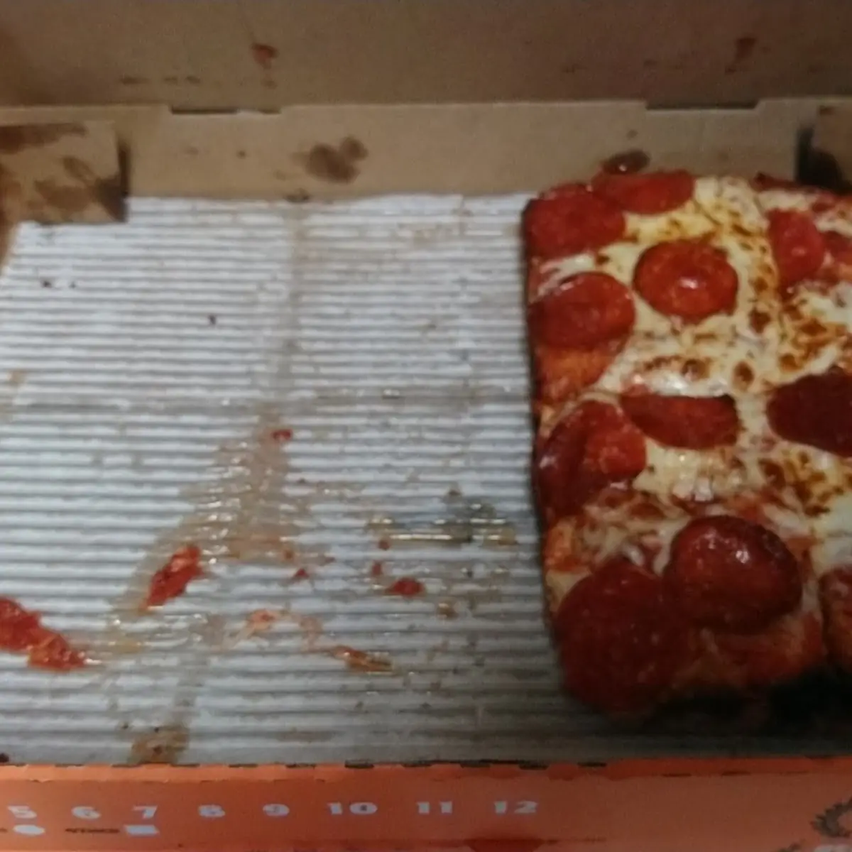 Detroit Pizza