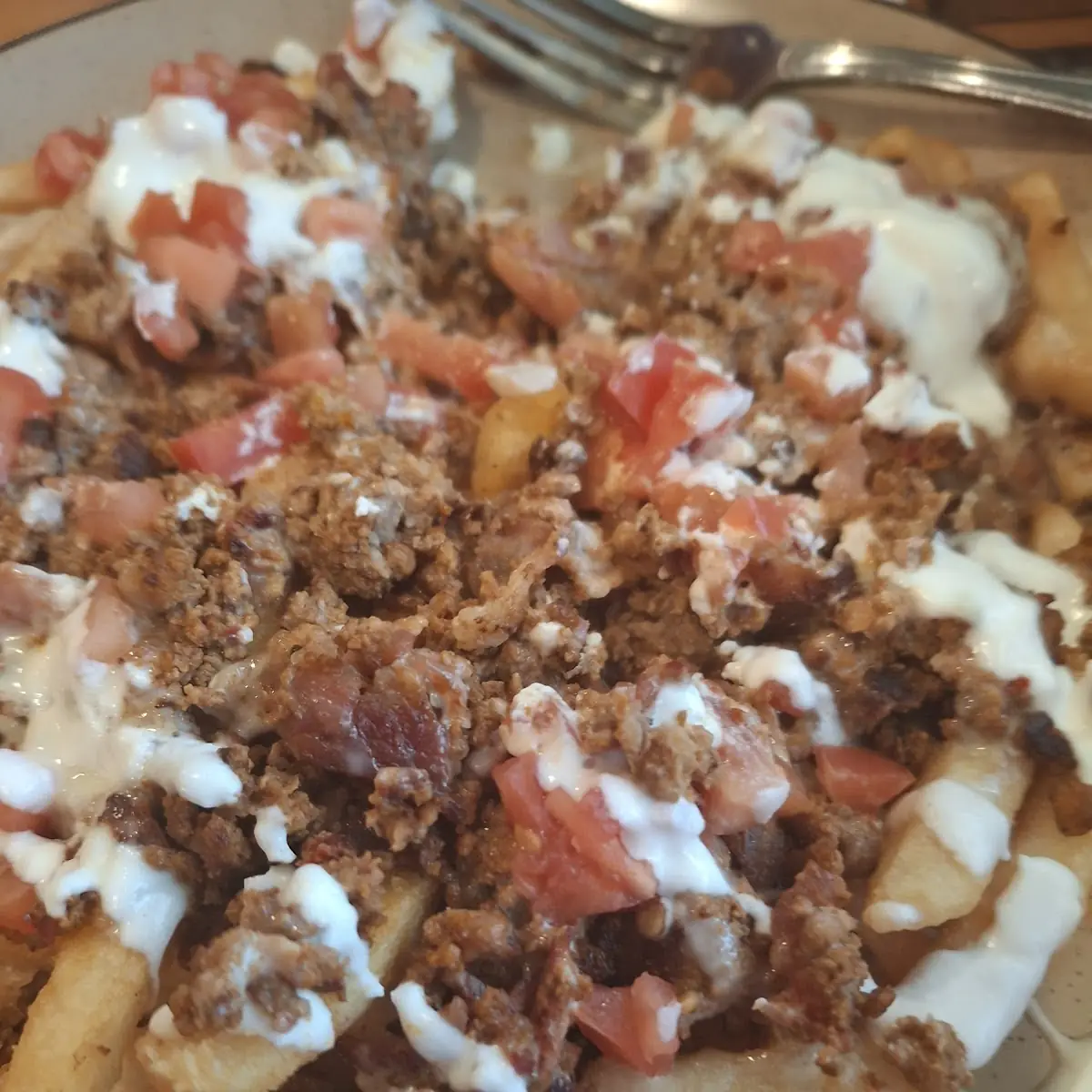 Carne Asada Fries