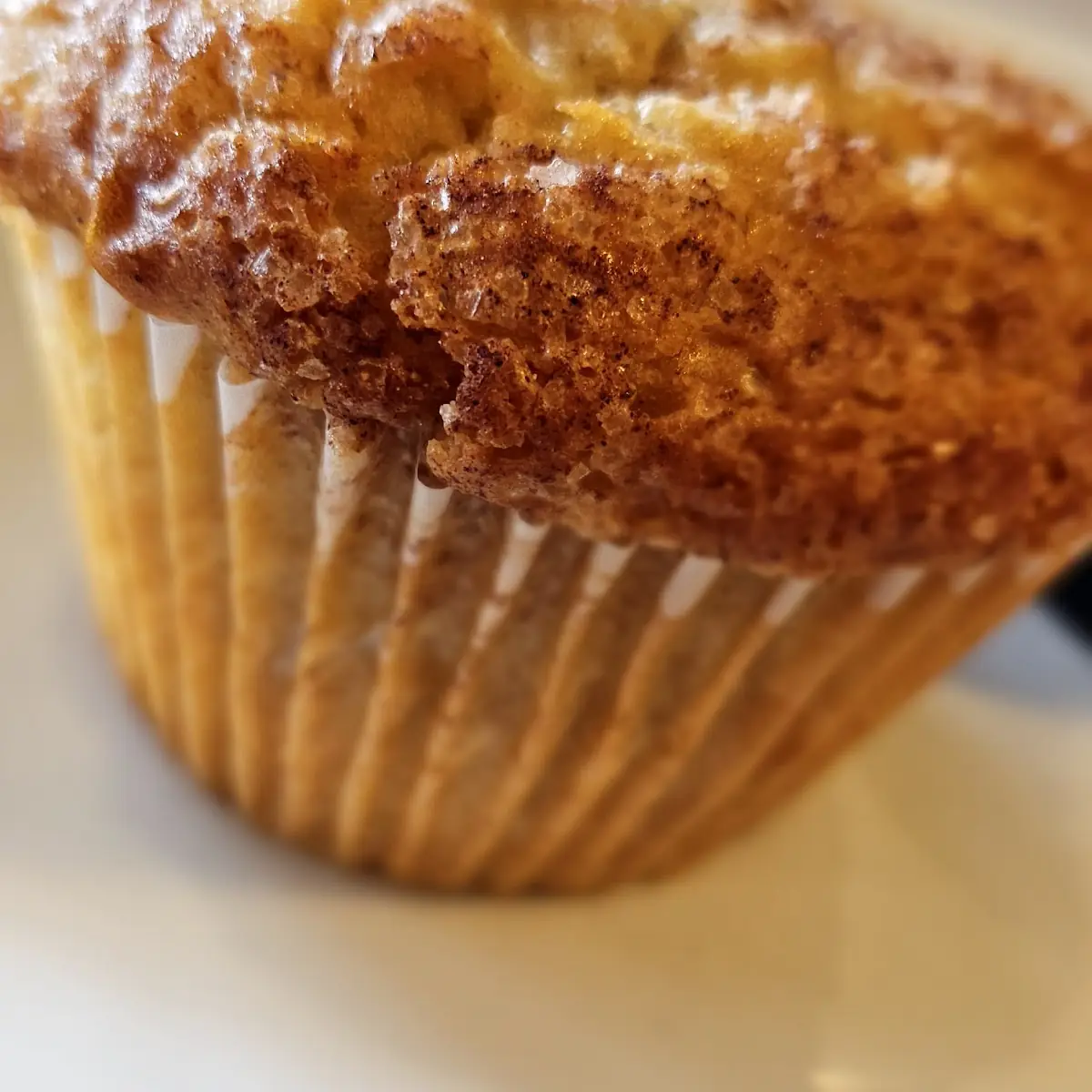 Apple Cinnamon Muffin