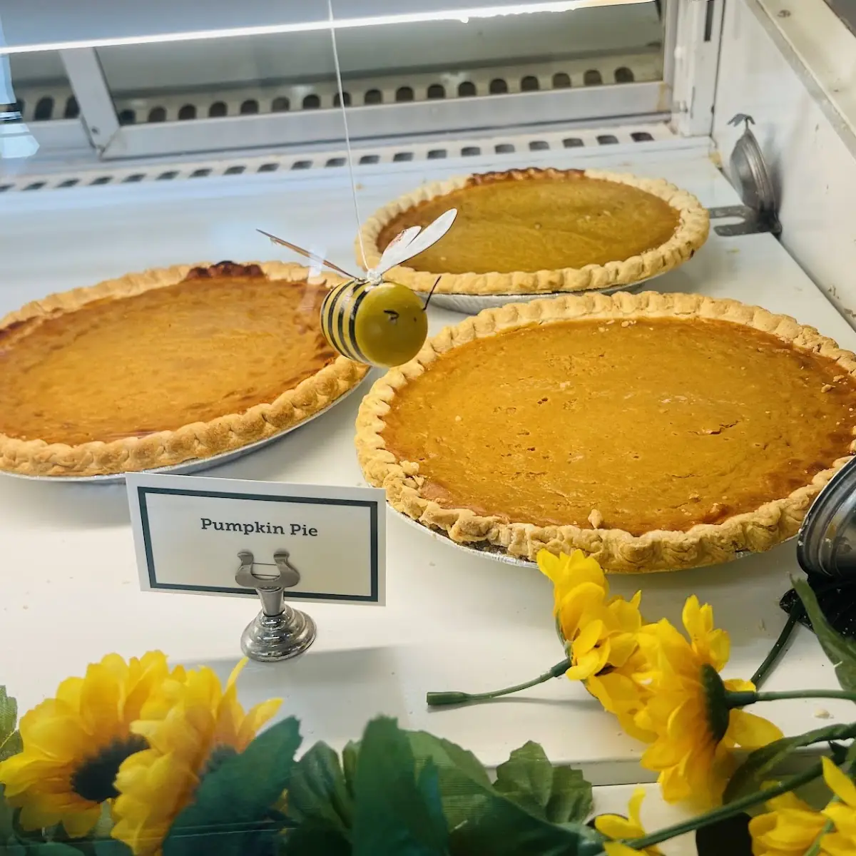 Pumpkin Pie