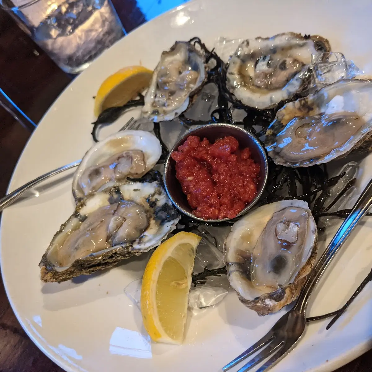 Oysters on the Half Shell