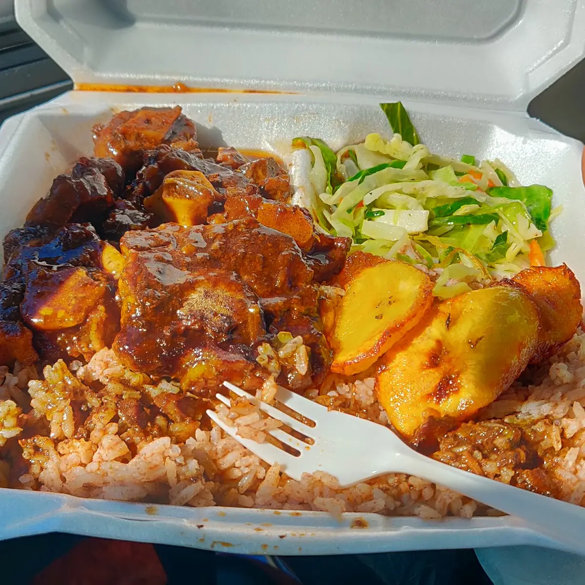 Oxtail Stew with Rice