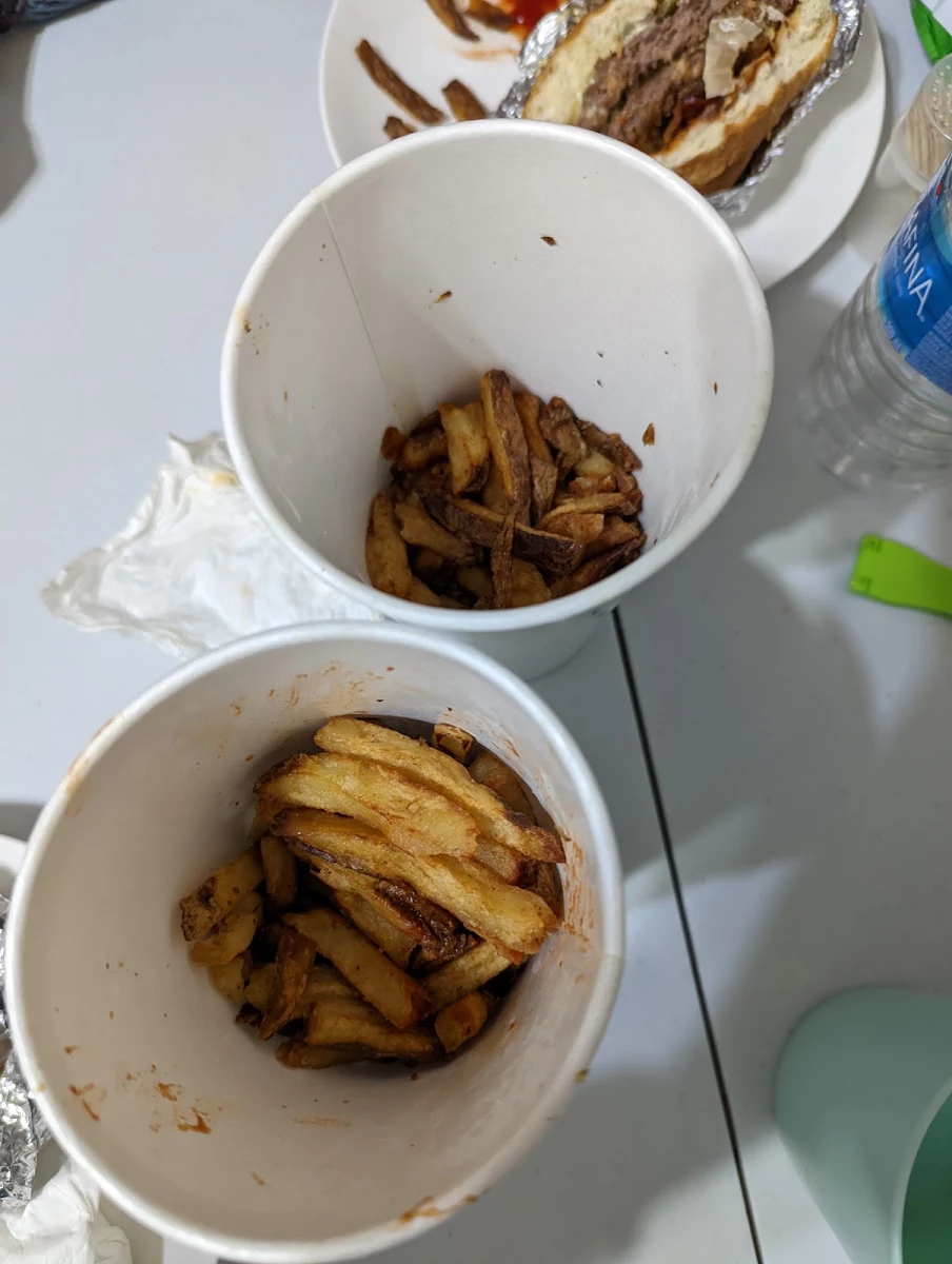 Regular Size Fries