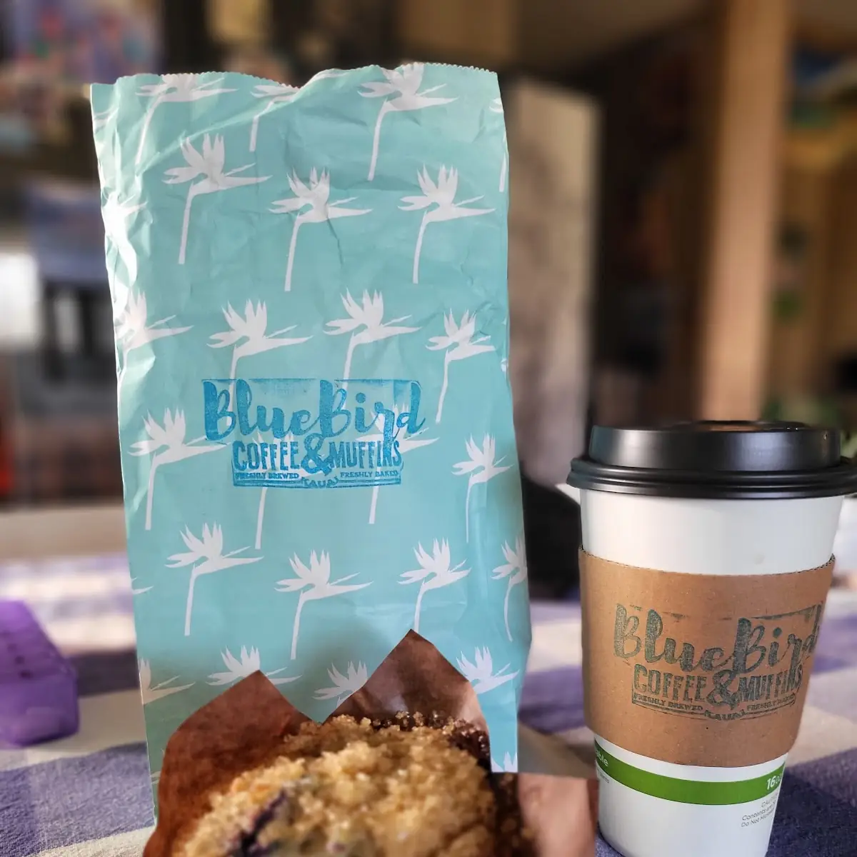 Blueberry Muffin