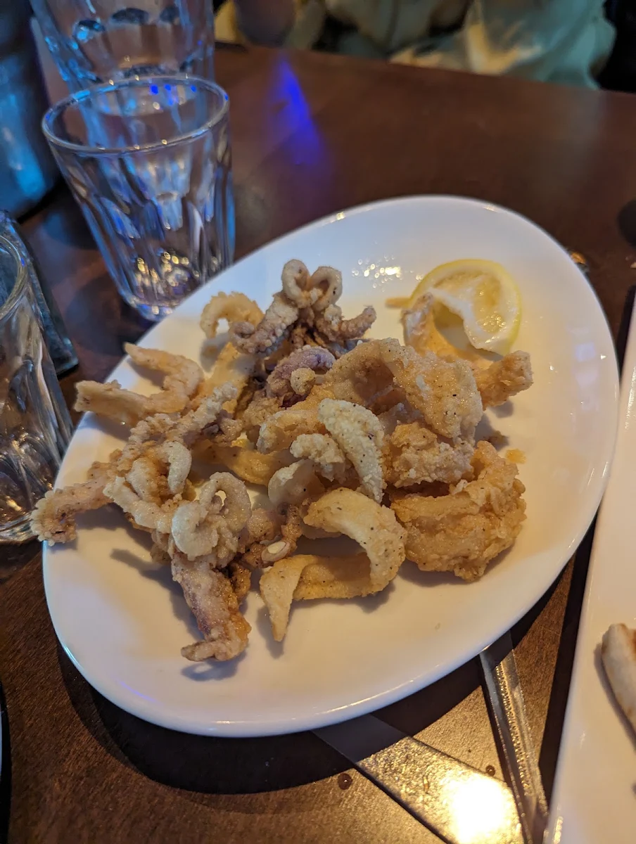 Fried Calamari