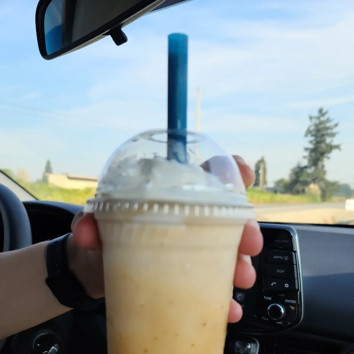 Pumpkin Pie Milkshake