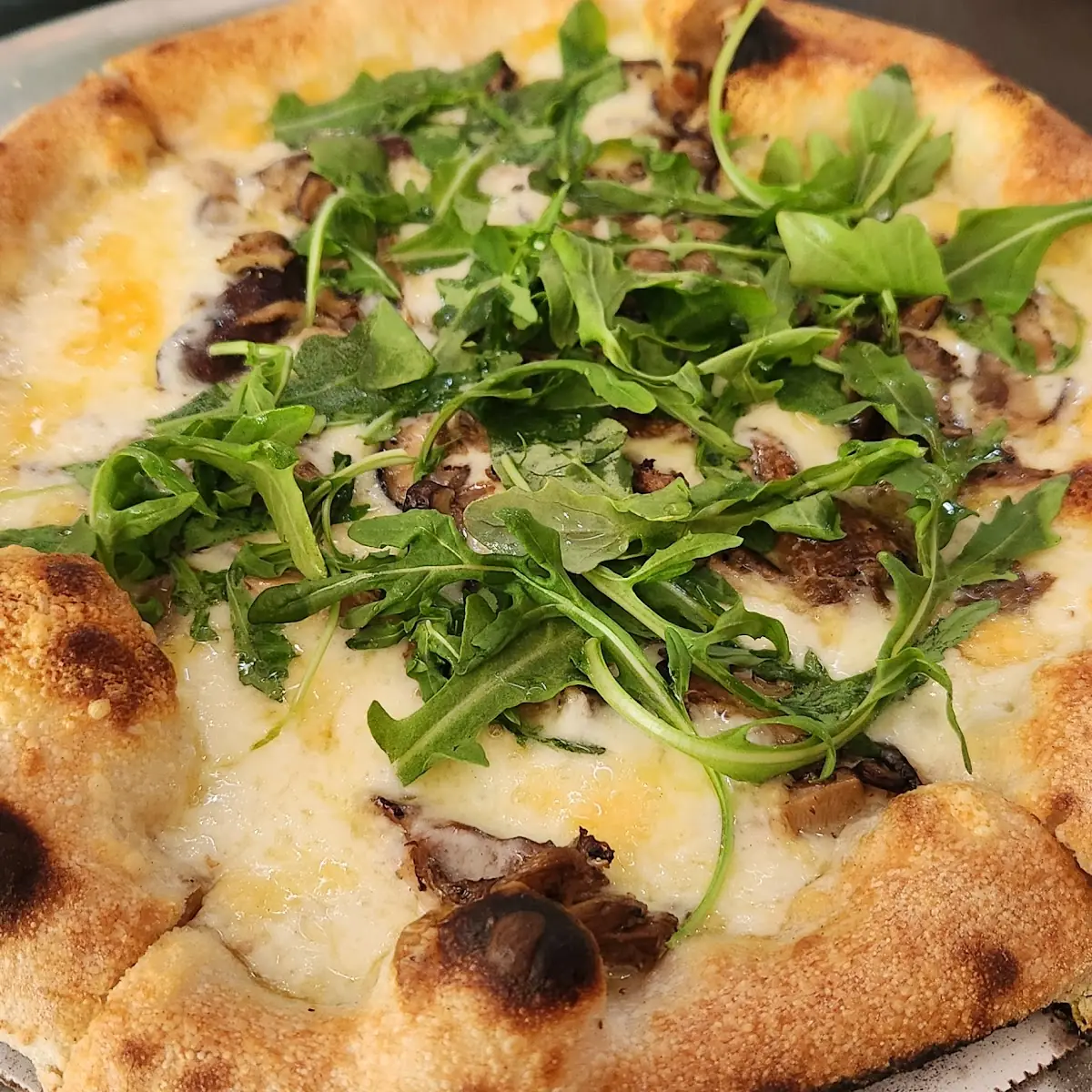 Mushroom Pizza