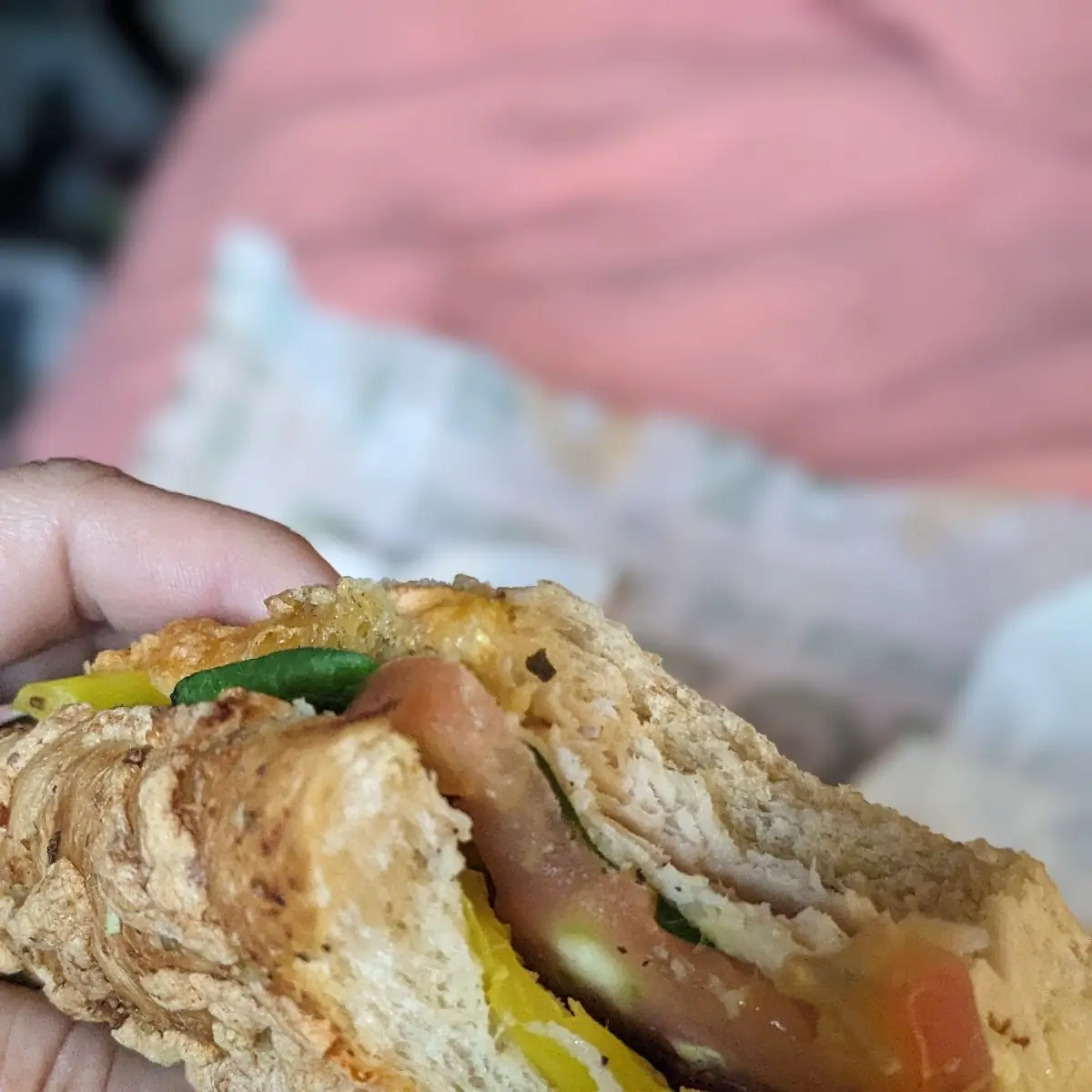 Turkey Sub