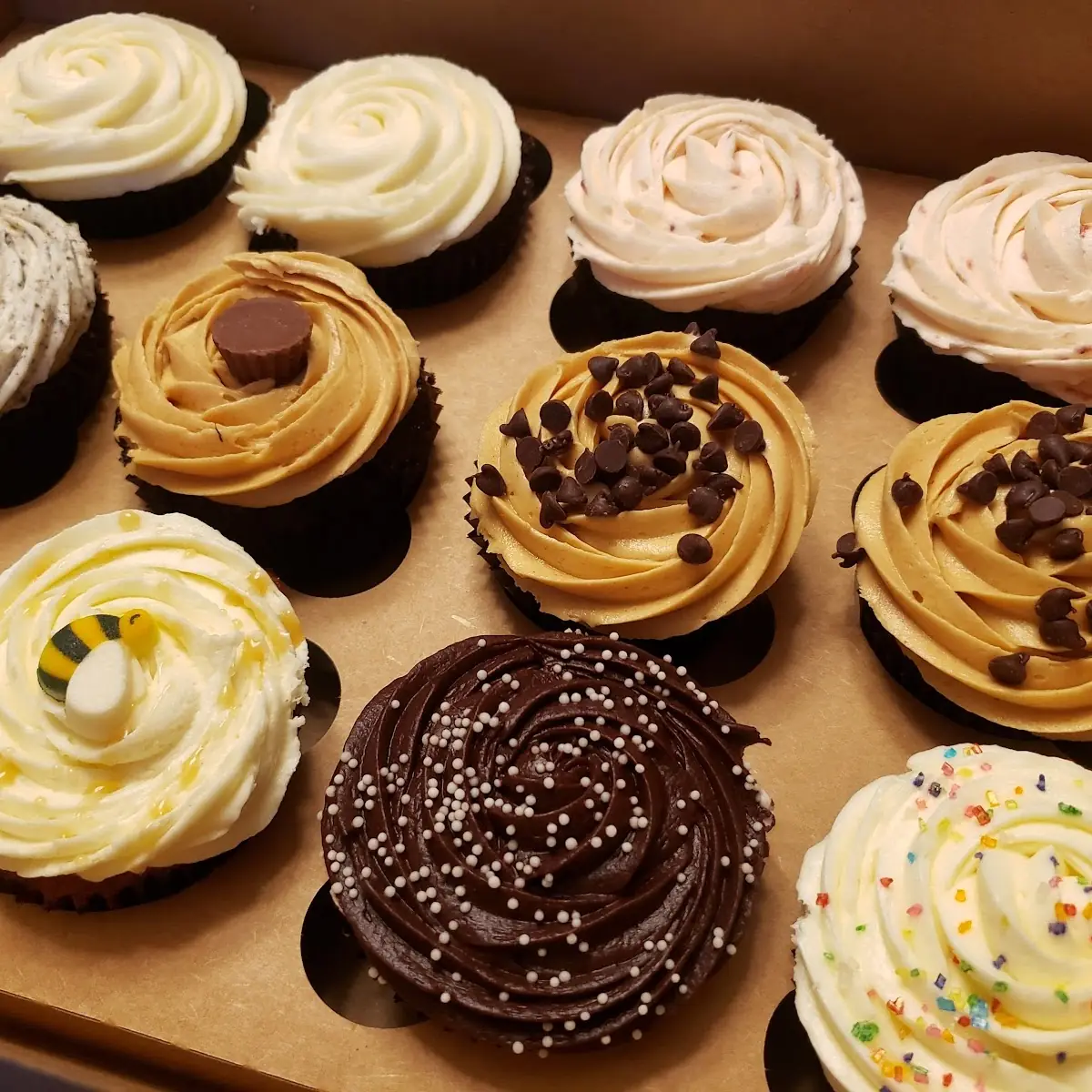 Assorted Dozen Mini Cupcakes