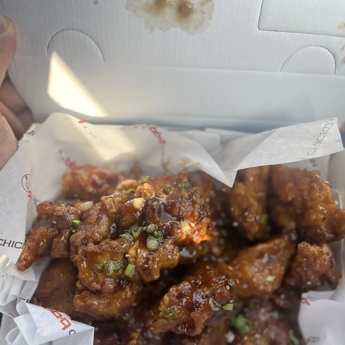 Soy Garlic Chicken