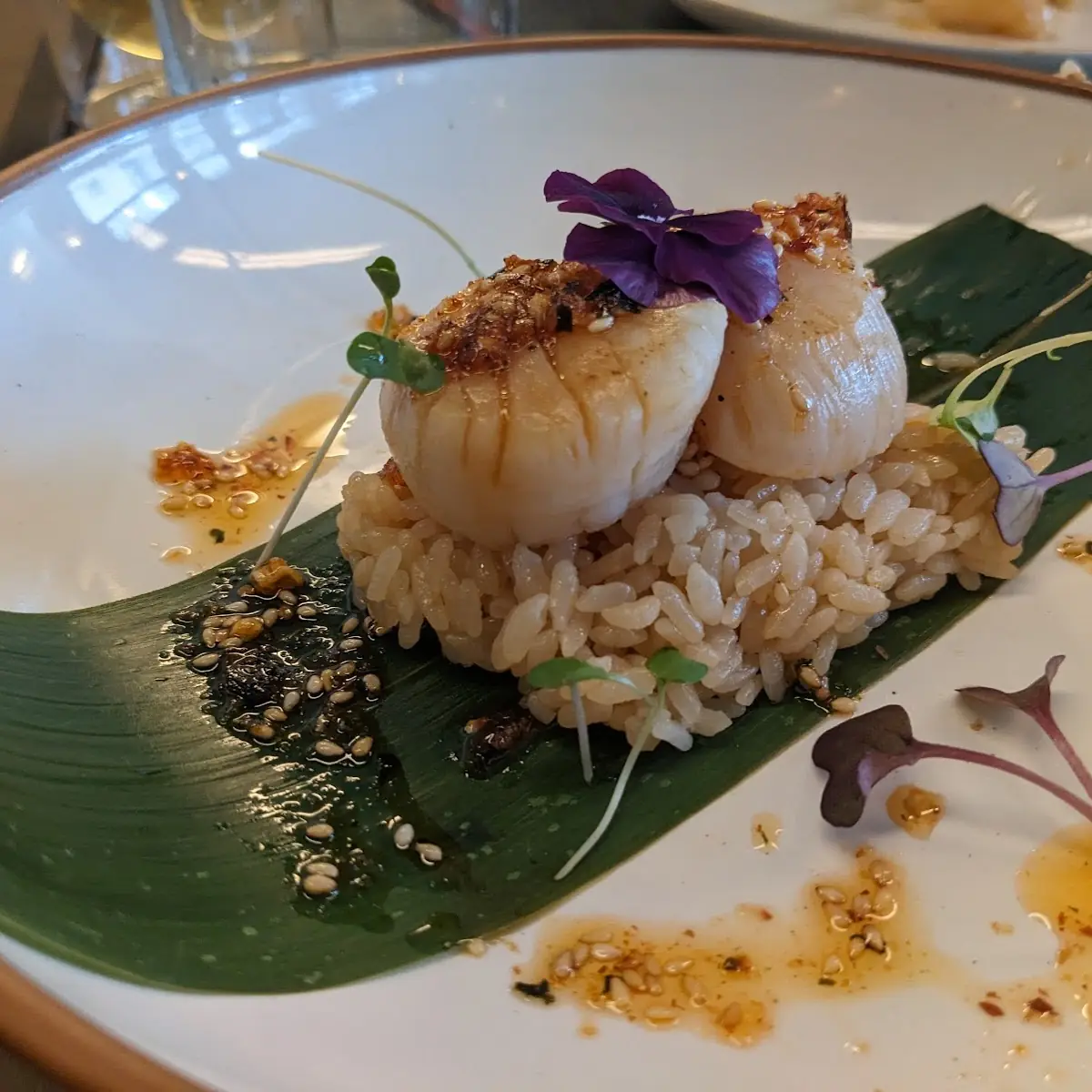 Pan Seared Scallops