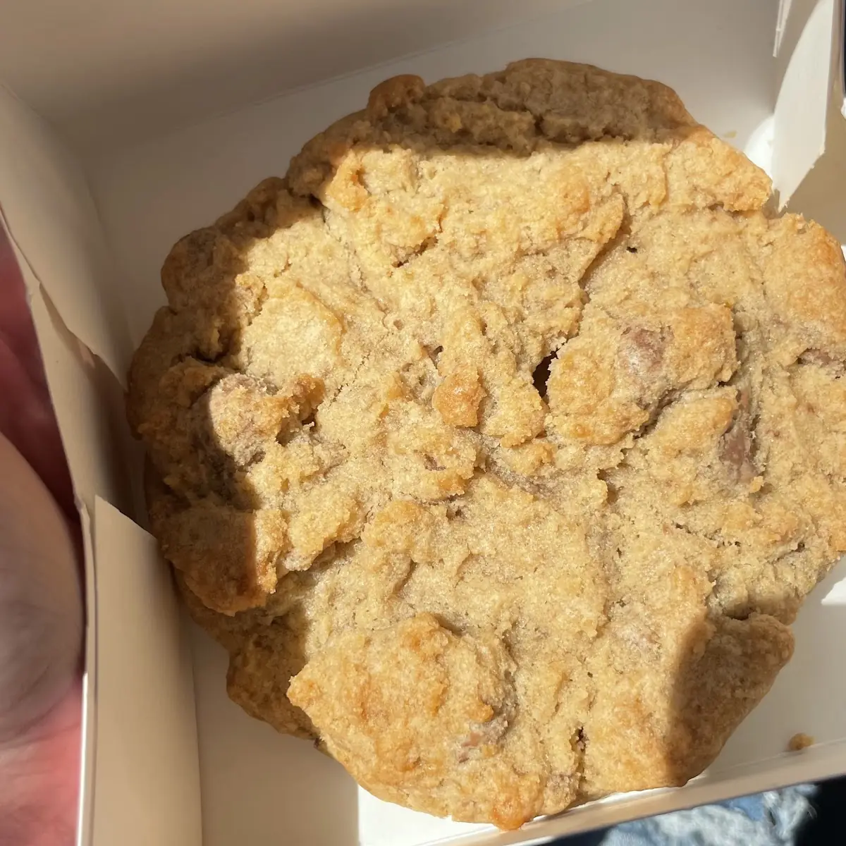 Milk Choco Chip